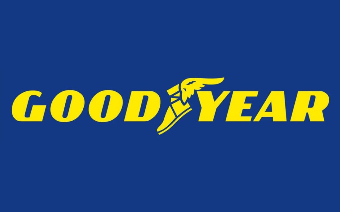 Goodyear İzmit Fabrika